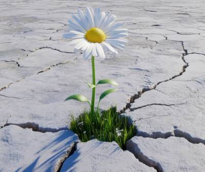 Stress loslassen – innere Ruhe und Resilienz stärken