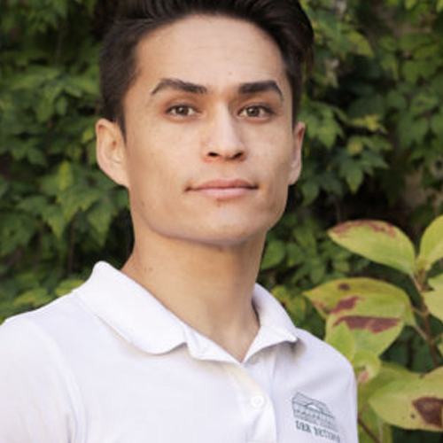 Ali_Mohseni
