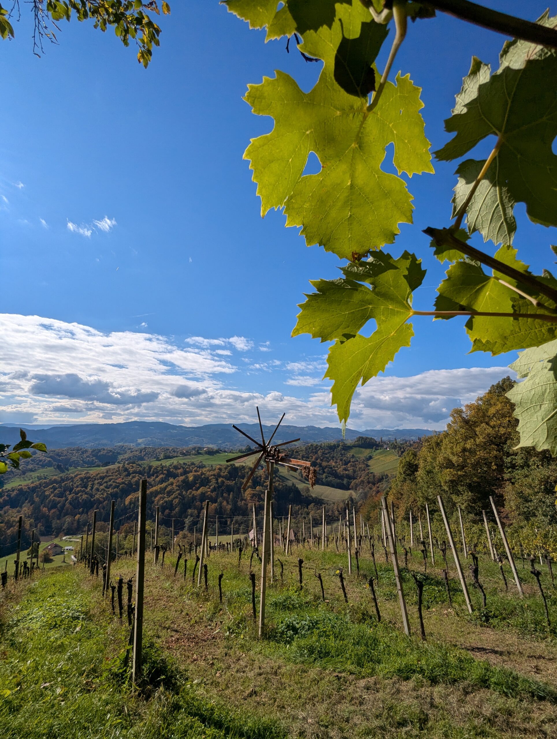 Retzhofer Grenzlandwanderung